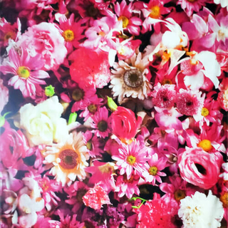 Digital printed cotton towel
