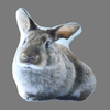Animal Cushion