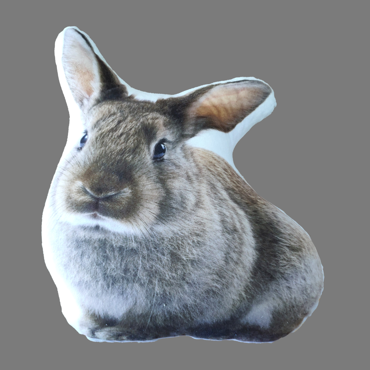 Animal Cushion