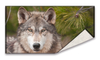 Digital printed cotton towel