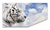 Digital printed beach towel 10