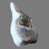 Animal Cushion