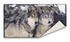 Digital printed cotton towel