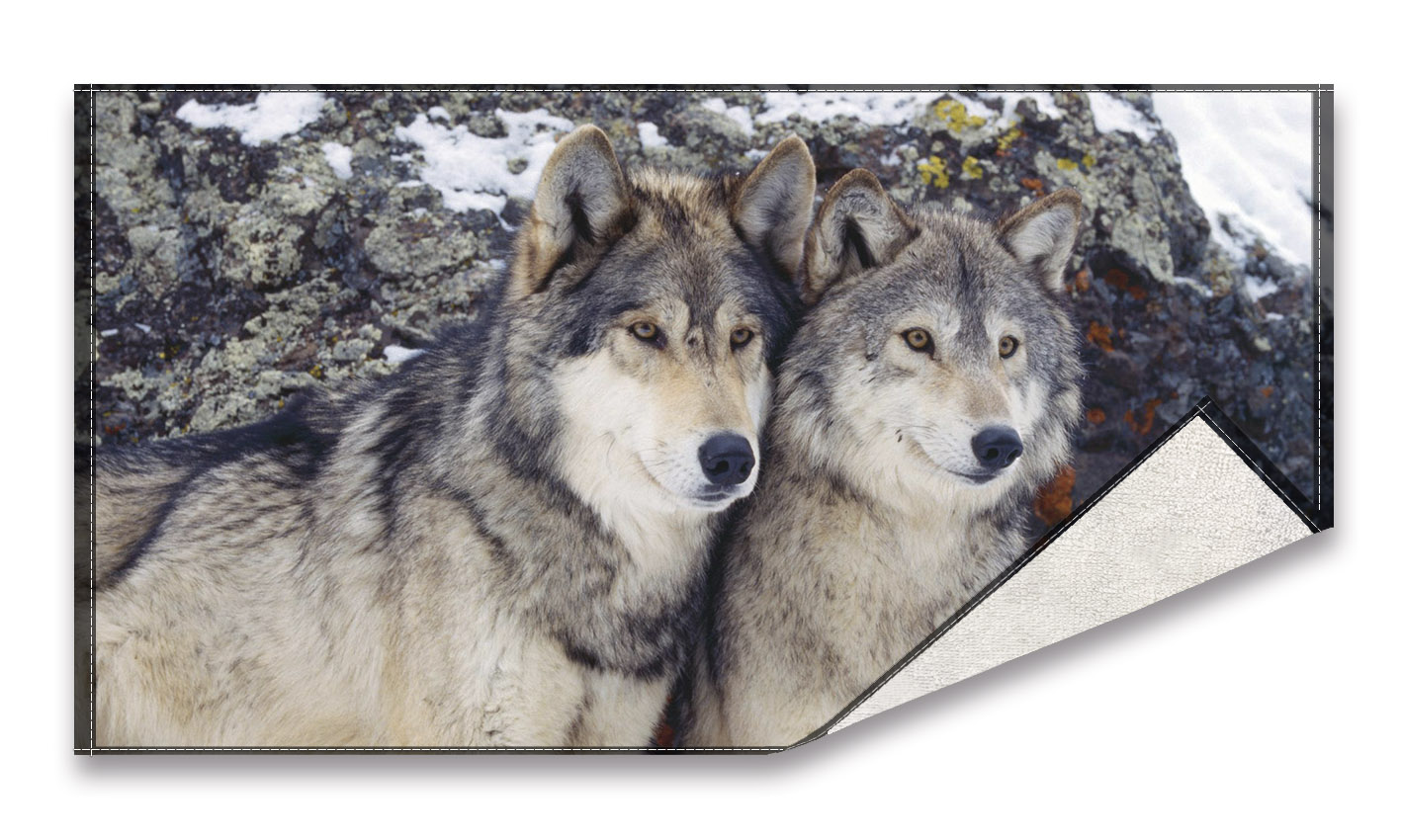 Digital printed cotton towel