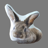 Animal Cushion
