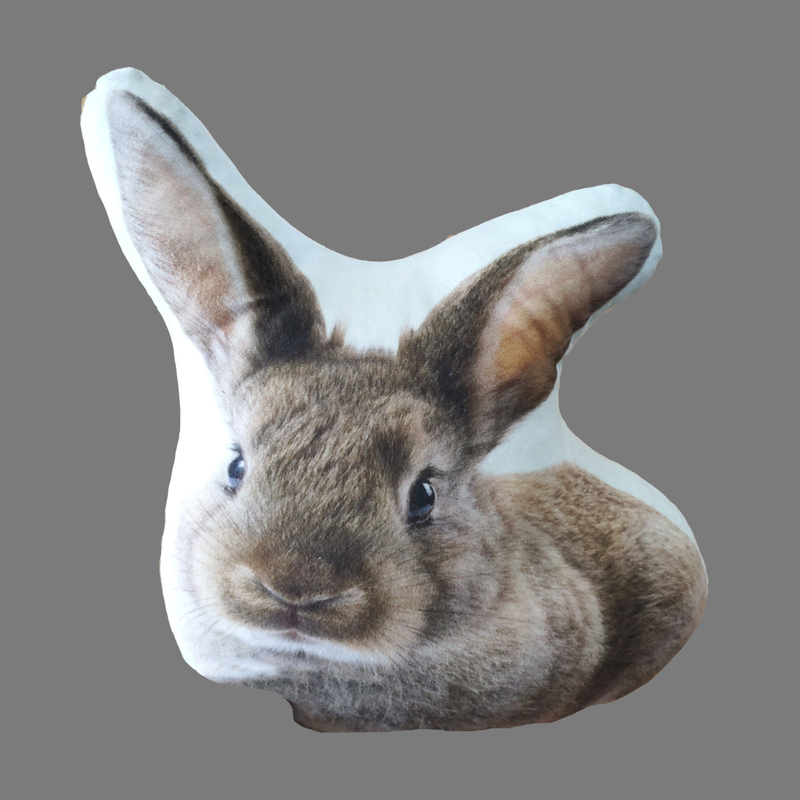 Animal Cushion