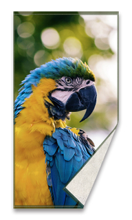 Digital printed beach towel 8