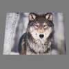 Placemat wolf