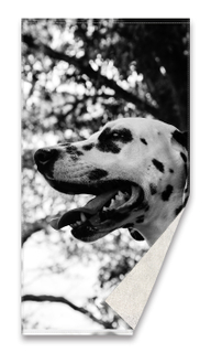 Digital printed beach towel 9