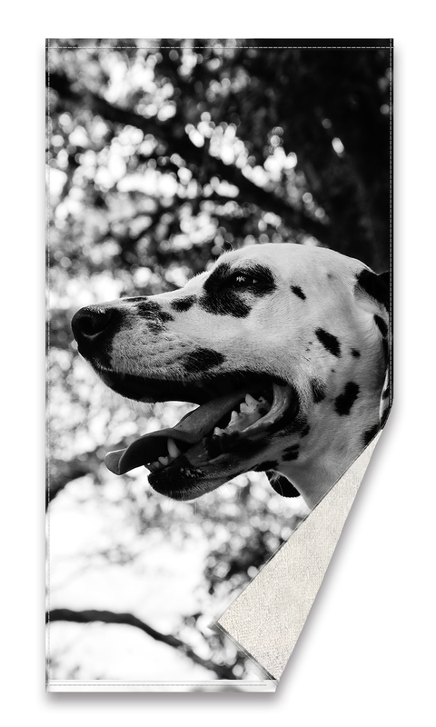 Digital printed beach towel 9