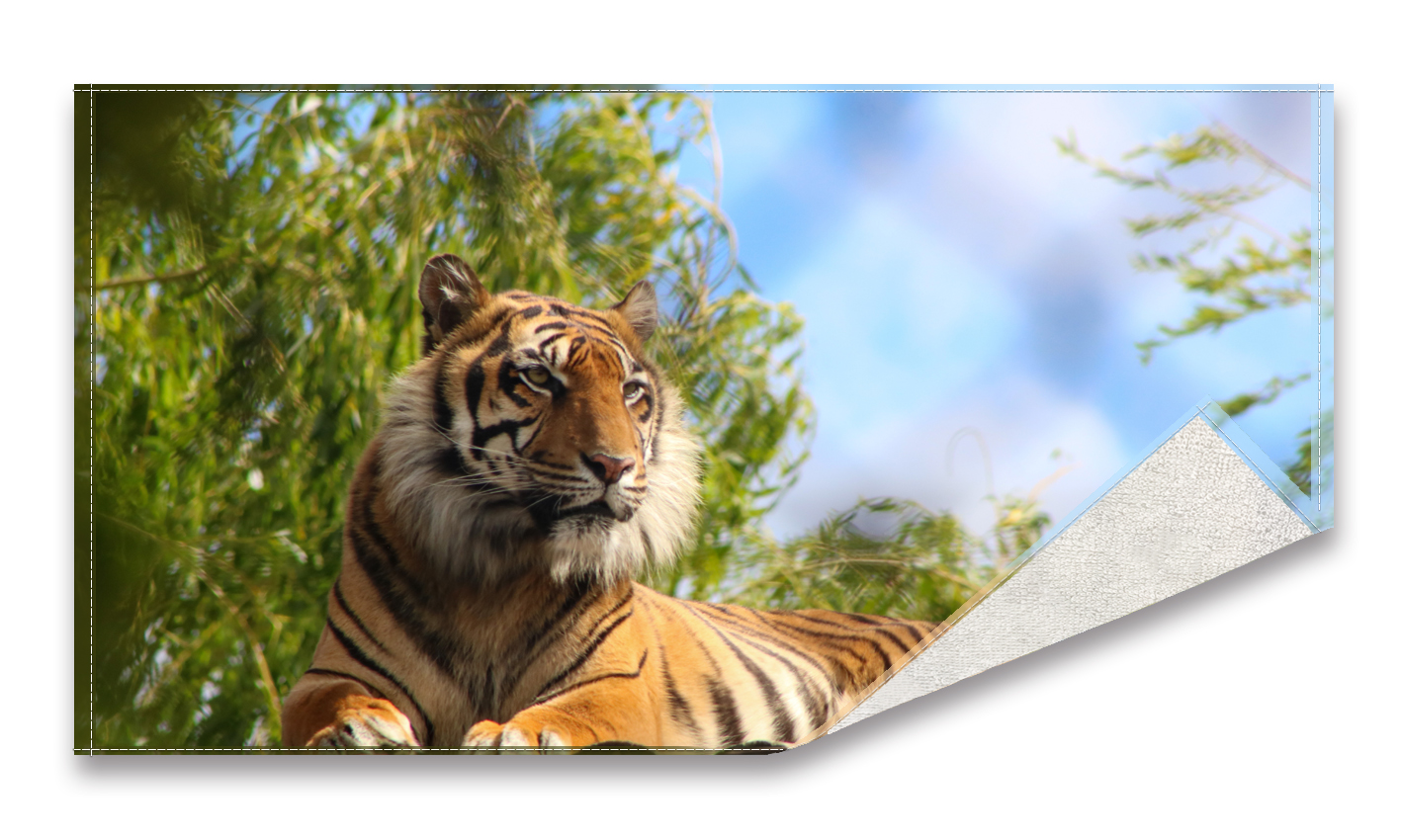 Digital printed beach towel 8